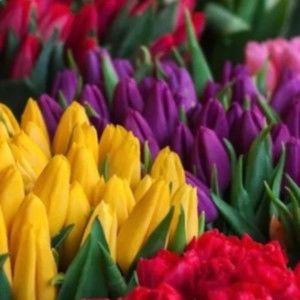 Meet your Posher, Kate